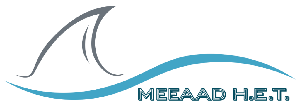MEEAAD Co.